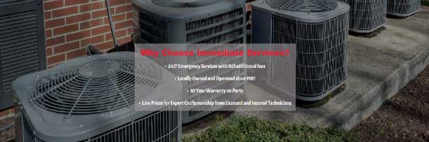 Furnace & Heat Pump Repair In Dawsonville, Cumming, Dahlonega, GA and Surrounding Areas | Immediate Services Air Conditioning and Heating